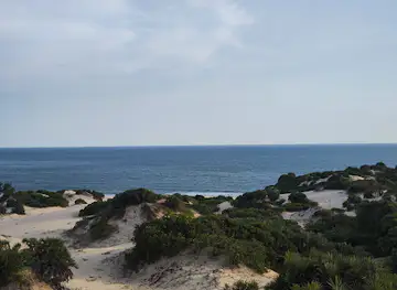 Shela dunes