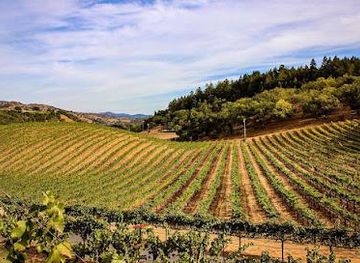 california/walnut-creek/attraction/taylor-family-vineyards