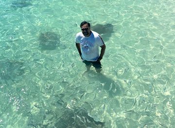 maldives/fulidhoo/attraction/fulidhoo-shark-point