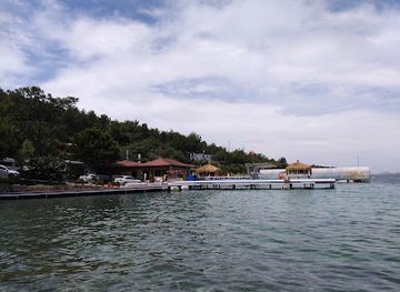 turkiye/black-sea-region/attraction/bodrum-dolphin-park-yunus-gosteri-merkezi