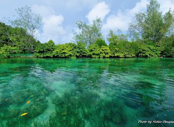 palau/ngaremlengui/attraction/Palau-Matsushima