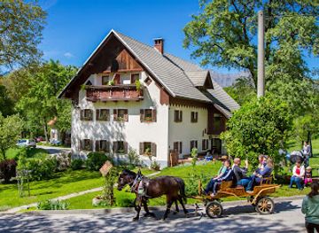 slovenia/littoral/attraction/marija-tusar-nosilka-dopolnilne-dejavnosti-na-kmetiji-turisticna-kmetija-pri-flandru