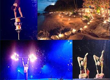 mexico/puerto-vallarta/attraction/rhythms-of-the-night