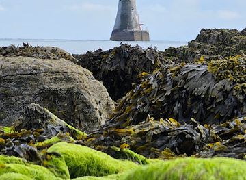 ireland/mourne-mountains/attraction/haulbowline-lighthouse