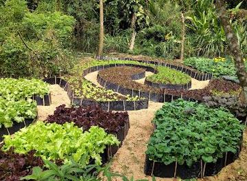 philippines/tagaytay/attraction/milea-bee-farm