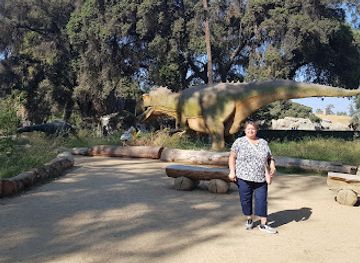 california/fresno/attraction/giraffe-feeding