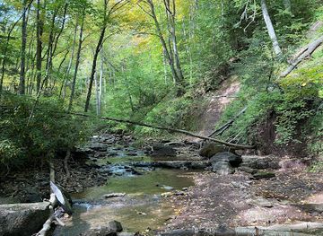 west-virginia/greenbrier-river-trail/attraction/falls-of-hills-creek