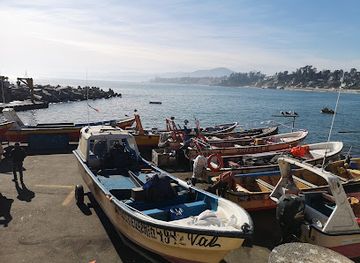 chile/valparaiso-region/attraction/caleta-higuerillas