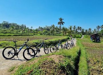 indonesia/bali/attraction/ubud-cycling-tours-goat-bali-cycling-tours