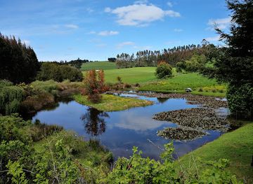 chile/puerto-varas/attraction/museo-antonio-felmer