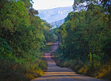 ethiopia/bale-mountains-national-park/attraction/bosona-harannaa-harenna-forest