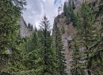 romania/bucegi-mountains/attraction/vararia-mare