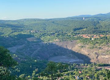 hungary/mecsek/attraction/flora-piheno