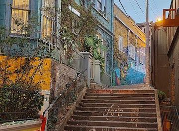 chile/vina-del-mar/attraction/p-o-dimalow