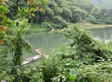 jamaica/port-antonio/attraction/rio-grande-tours-and-adventures