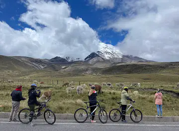 Pro Bici