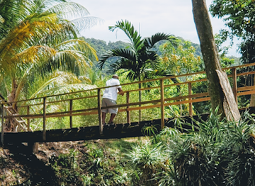 jamaica/savanna-la-mar/attraction/yahso-jungle-adventures