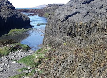 iceland/southern-peninsula/attraction/selatangar