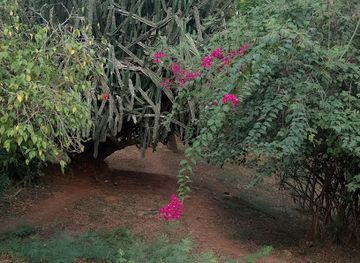 ghana/cape-coast/attraction/ucc-botanical-garden