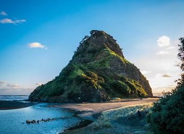 new-zealand/auckland/attraction/piha