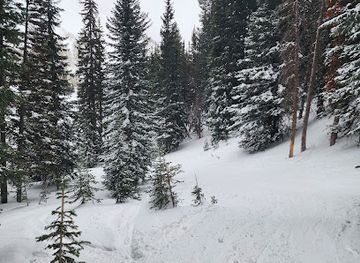 utah/solitude-mountain-resort/attraction/shadow-ridge-glades