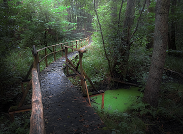 germany/brandenburg/attraction/diebesgrund