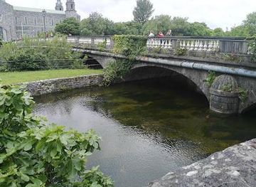 ireland/ennis/attraction/salmon-weir-bridge