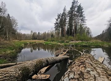 latvia/pape-nature-reserve/attraction/ciravas-mezaparks