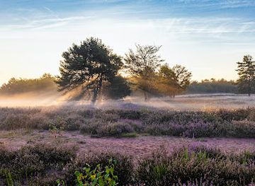 germany/palatinate/attraction/mehlinger-heide