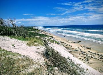 australia/northern-rivers/attraction/evans-head-main-beach