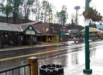 tennessee/gatlinburg/attraction/ripley-s-mirror-maze