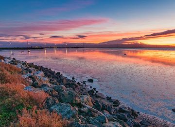 california/san-francisco-peninsula/attraction/hayward-regional-shoreline