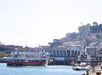 california/walnut-creek/attraction/red-and-white-fleet-san-francisco-bay-cruises