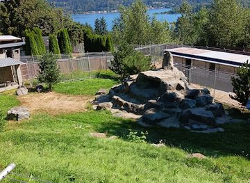 washington/eastern-washington/attraction/cougar-mountain-zoo