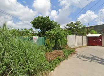 philippines/cebu/attraction/7-birds-sanctuary