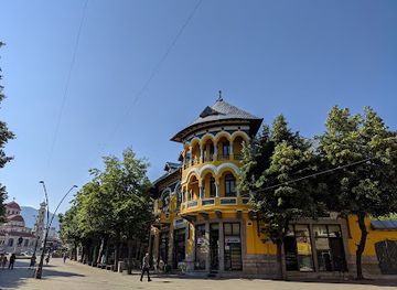 albania/kolonja/attraction/gjon-mili-photography-museum