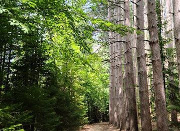 michigan/ann-arbor/attraction/proud-lake-recreation-area