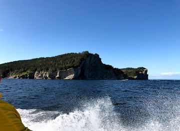 canada/forillon-national-park/attraction/forillon-baleines