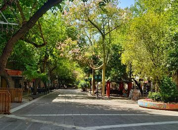 argentina/western-argentina/attraction/peatonal-sarmiento