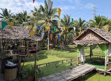 thailand/lanna/attraction/coconut-market