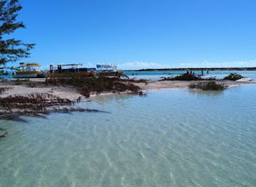 turks-and-caicos-islands/grace-bay/attraction/ras-tci-tours