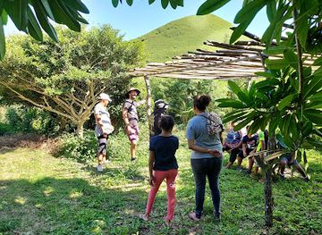 new-caledonia/baie-des-citrons/attraction/musee-de-new-caledonia-garden