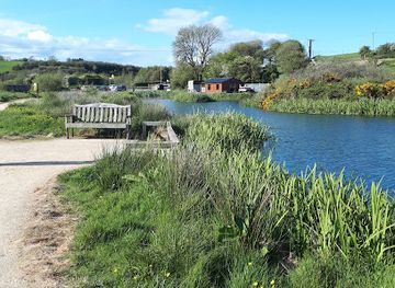 ireland/county-waterford/attraction/anne-valley-nature-and-wildlife-walk