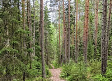 finland/jyvaskyla/attraction/death-pits-kettle-holes