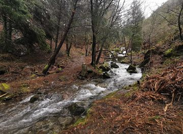 portugal/serra-do-marao/attraction/trilho-o-marao-tem-sangue-azul