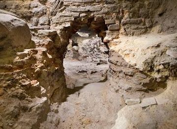 france/versailles/attraction/crypte-archeologique-de-l-ile-de-la-cite