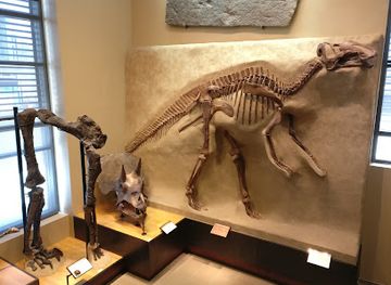 massachusetts/hampshire-county/attraction/beneski-museum-of-natural-history