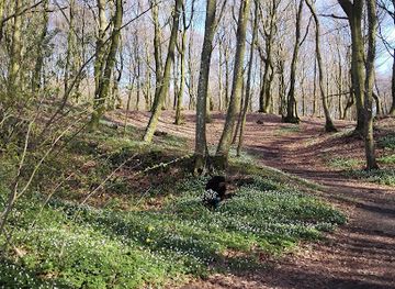denmark/mariager-fjord/attraction/sodisbakkes-museum