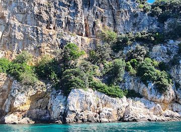 croatia/kvarner-gulf/attraction/falesie-di-plavnik