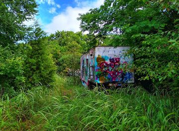 oklahoma/eastern-oklahoma/attraction/ruins-of-gandini-s-circus
